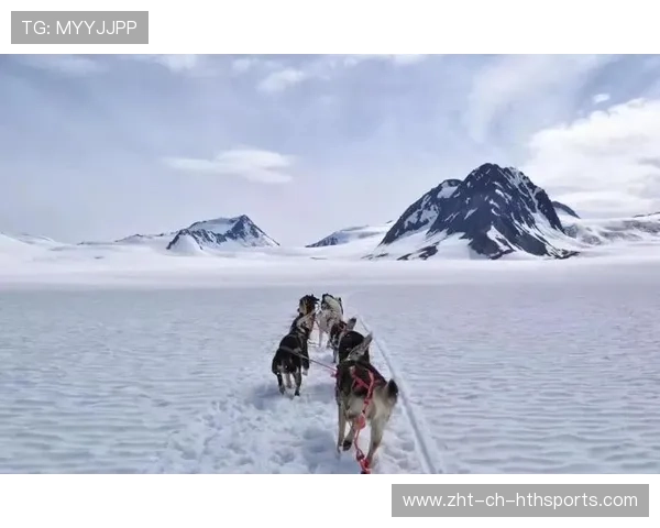 狗拉雪橇比赛：阿拉斯加的长途跋涉，阿拉斯加狗拉雪橇视频